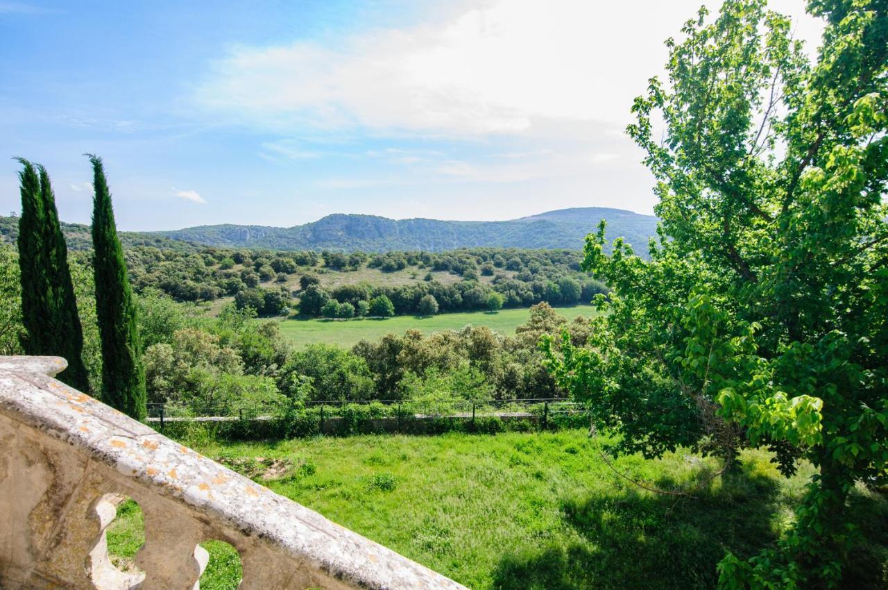 Chateau Le Villarel Brissac エクステリア 写真