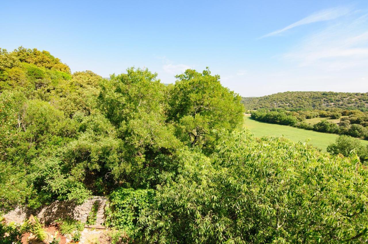 Chateau Le Villarel Brissac エクステリア 写真