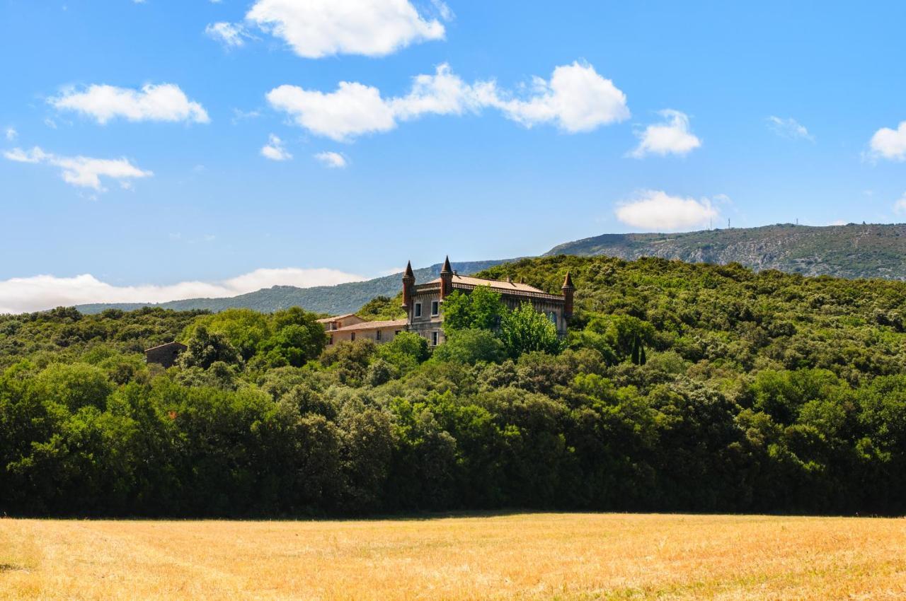 Chateau Le Villarel Brissac エクステリア 写真